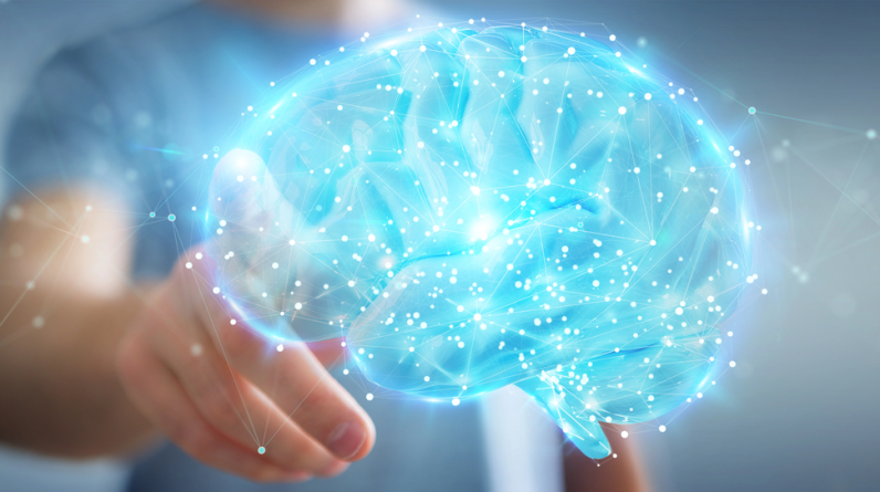 brain