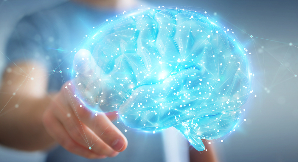 brain