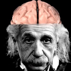 How Einstein's Brain Is Different Than Yours